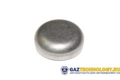 Заглушка блока цилиндров дв. 4216 (умз) (ГАЗ)