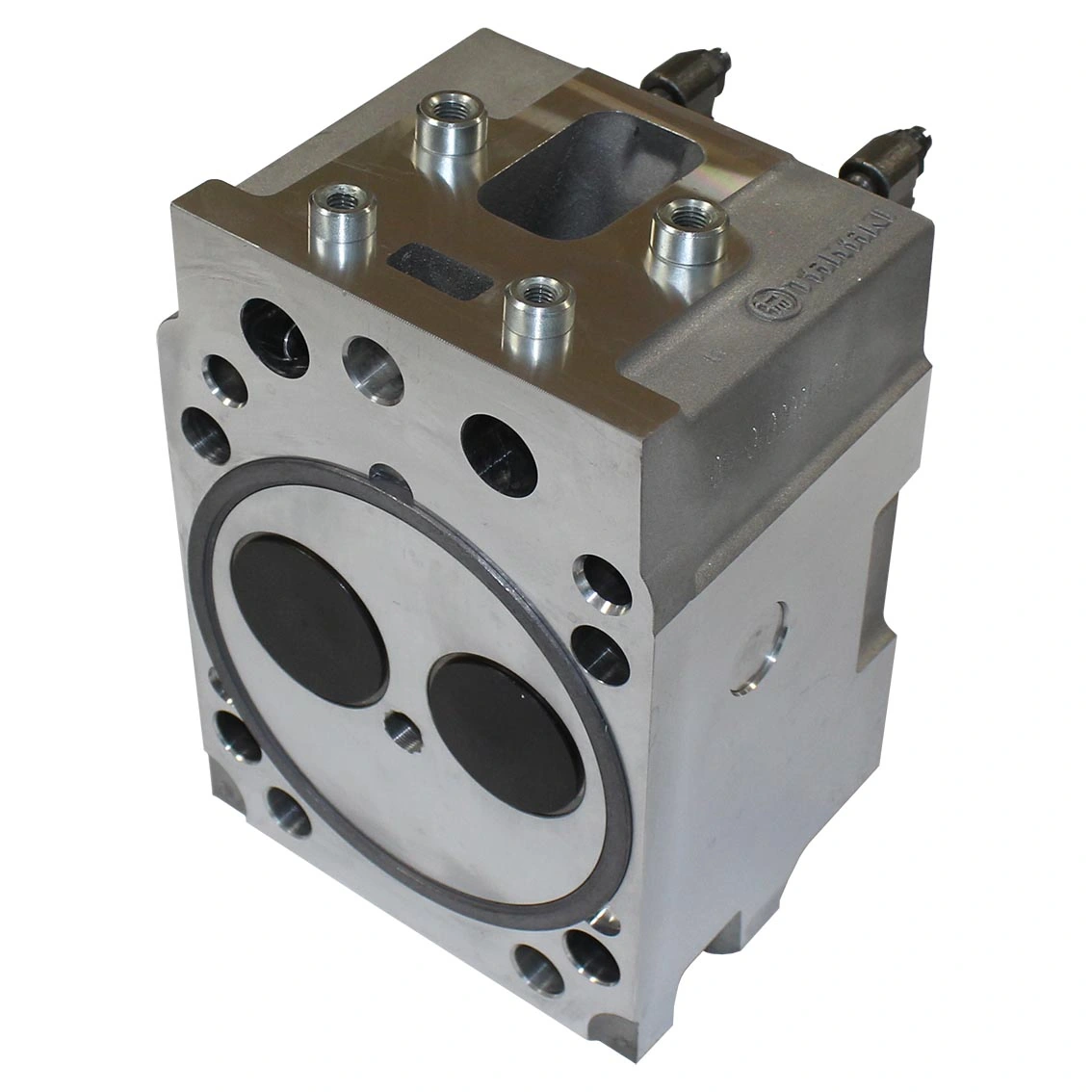 TKG-1003010-40 Головка цилиндра с клапанами (для дв. КАМАЗ-820.60-74, 820.90-93 EURO-IV,V (под газовое топливо)) TANAKI - фото 2 — изображение 2