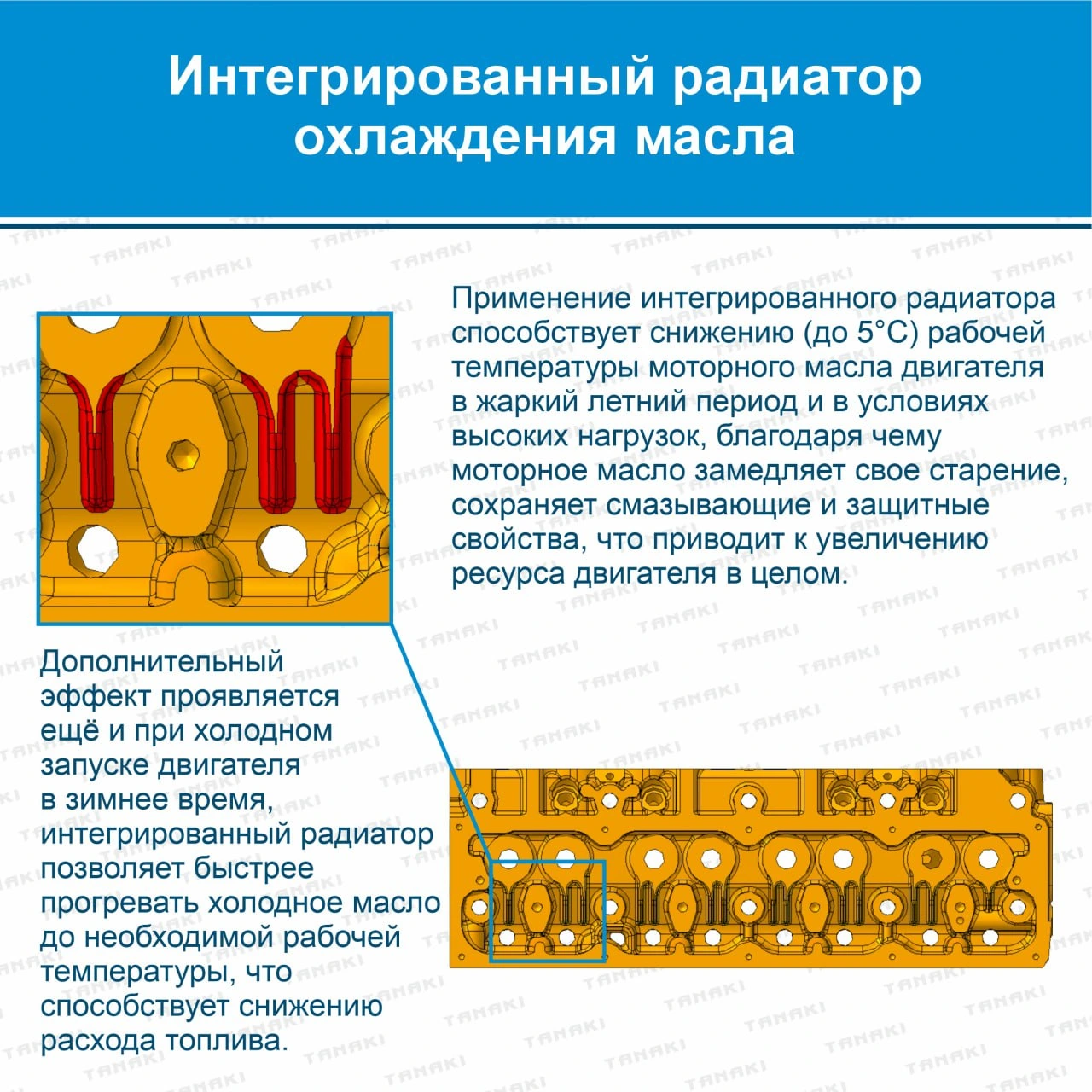 TKG-1003010-68 Головка блока Газель ДВ.А274 в сб.(гбо) (TANAKI) - фото 10 — изображение 10