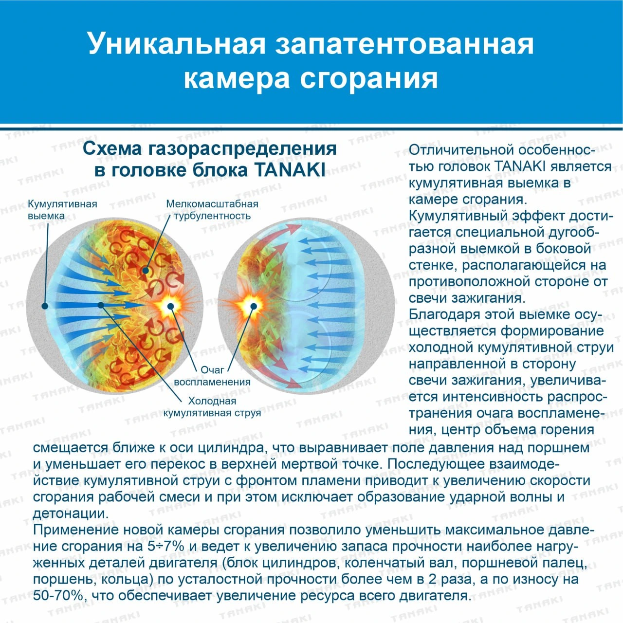 TKG-1003010-79 Головка цилиндров с клапанами (для а/м Газель-NEXT, -NN с дв. УМЗ-A305) TANAKI - фото 9 — изображение 9